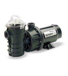 PENTAIR DYNAMO 2 HP  SPEED w/3' CORD (340219)