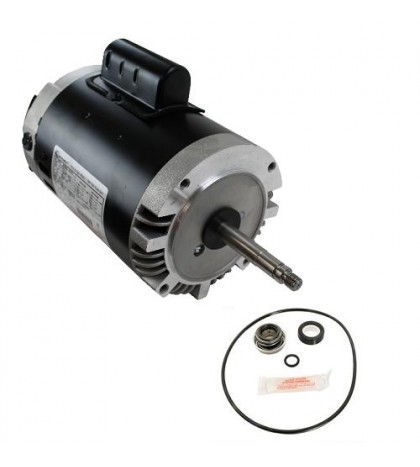 B625 - AO Smith Pool Cleaner Pump Motor