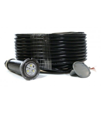 Pentair Globrite 602056 Shallow Water Color LED Light for Swimming Pool