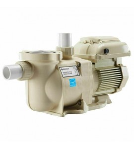 Pentair SuperFlo VS Variable Speed Pump (342001)