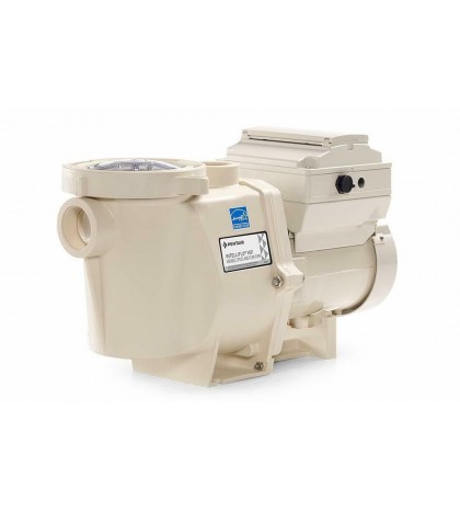 Pentair 011028 IntelliFlo 3HP 230V Variable Speed Pump