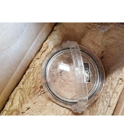 Hayward 1 HP LX Pump W/ Cord SP15801CFP