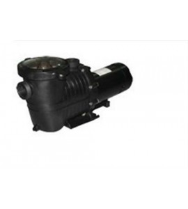 Baystate PO12743 115V 1 Horsepower Pooline Inground Pump