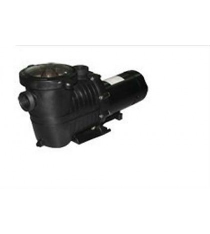 Baystate PO12743 115V 1 Horsepower Pooline Inground Pump