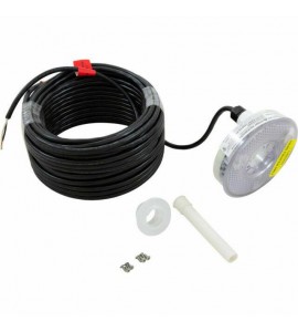 Pentair COLORSCADE 100 ft LED  Replacement Head