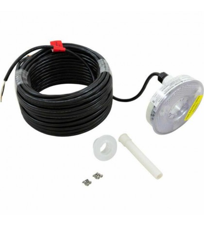 Pentair COLORSCADE 100 ft LED  Replacement Head