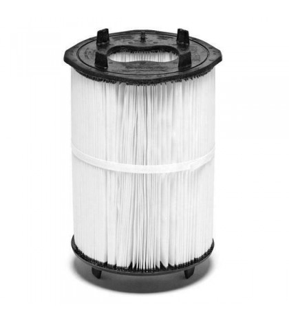Pentair 27002-0100S Filter Module Replacement