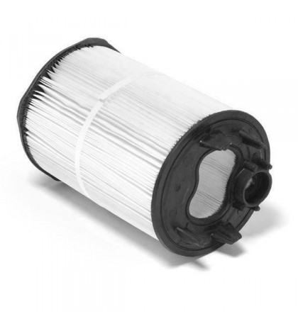 Pentair 27002-0100S Filter Module Replacement