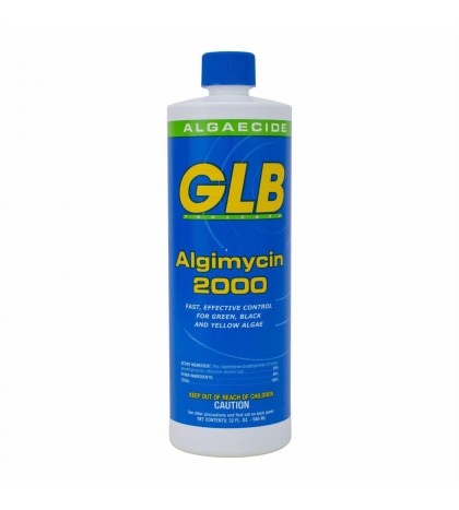 GLB Swimming Pool Algimycin 2000 Algaecide 1 qt. Bottle 1-Pack