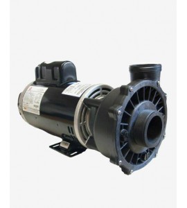 Waterway 5 HP 3722021-13 Executive 56-Frame Dual-Speed Spa Pump
