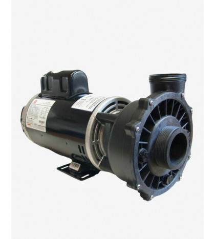Waterway 3 HP 3721221-1D Executive 56-Frame Dual-Speed Spa Pump