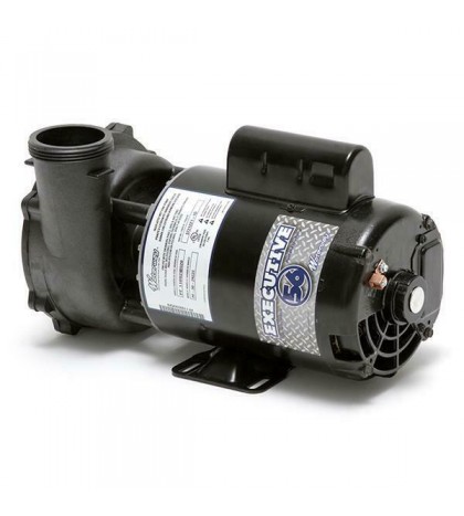 Waterway 3 HP 3721221-1D Executive 56-Frame Dual-Speed Spa Pump