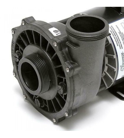 Waterway 3 HP 3721221-1D Executive 56-Frame Dual-Speed Spa Pump
