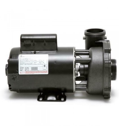 Waterway 3 HP 3721221-1D Executive 56-Frame Dual-Speed Spa Pump