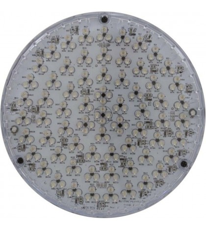 Repl Bulb, ColorSplash 2G, Pool/Spa, 12v