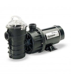 Pentair Dynamo DYNII-NI-1 HP 340197 Pool Pump
