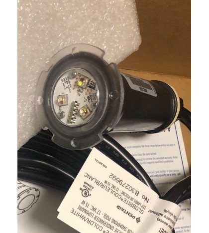 Pentair 602054 GloBrite LED Pool Light 12V, 50 ft. Cord