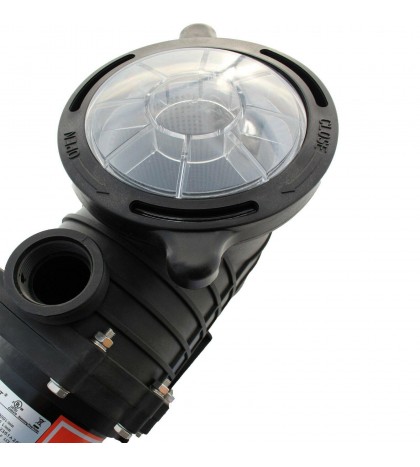 Mighty Mammoth In Ground Pool Pump 1.5HP & 2HP - High Performance & Flow Rate