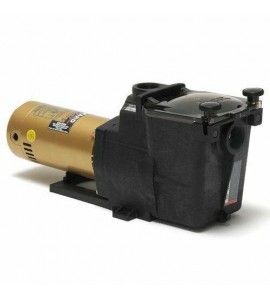 Hayward Super Pump For In-Ground Swimming Pools