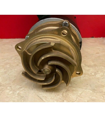 Magnetek Century Centurion B124 Pool Spa Motor 2HP w/ Brass Bronze Impeller