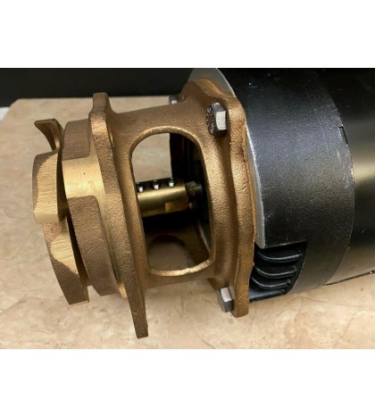 Magnetek Century Centurion B124 Pool Spa Motor 2HP w/ Brass Bronze Impeller