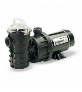 PENTAIR 340210 Dynamo Swimming Pool Pump 1.5 Hp w/Cord (Open Box)
