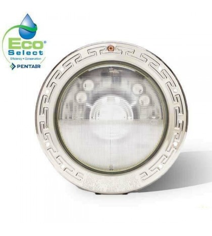 PENTAIR COLOR LED SWIMMING POOL LIGHT (Item 602065)