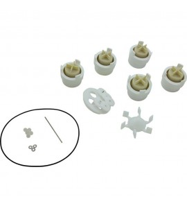 Complete Repair Kit, A & A Manufacturing 5 Port Gould Valve