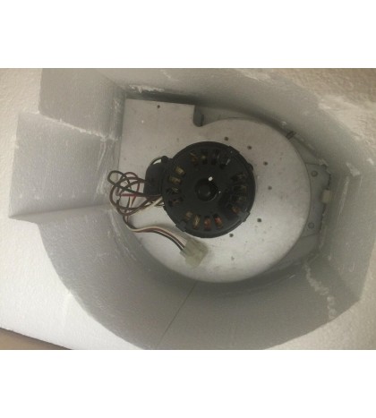 Hayward IDXLBWR1931 120V Combustion Blower