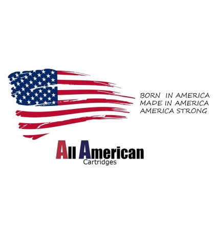 Jandy CS-250 Pleatco PJANCS250 All American AA-J250 Replacement Pool Filter