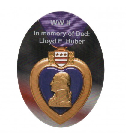 Jandy CS-250 Pleatco PJANCS250 All American AA-J250 Replacement Pool Filter