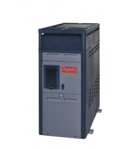 Raypak 014784 P-R156A 150,000 BTU Natural Heater Above Ground Pool Spa NEW Raypak 014784 P-R156A 150,000 BTU Natural Heater Above Ground Pool Spa NEW