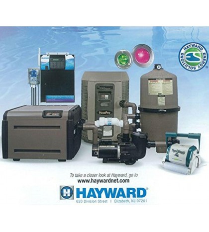 Hayward Dirt Devil Rampage/TigerS