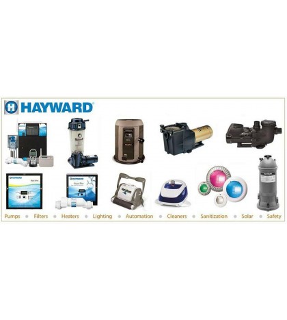 Hayward Dirt Devil Rampage/TigerS