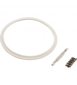 Pentair 600052 Bulb Kit, Aqualumin II 12V 100W