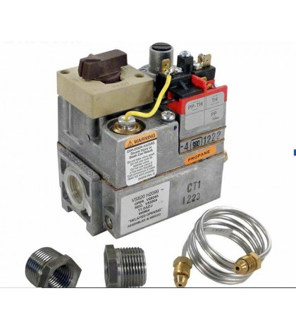 Raypak 003899F Propane  Valve Millivolt