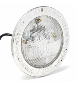 Pentair 601302 Intellibrite White Underwater Led Pool Light with 100' Cord