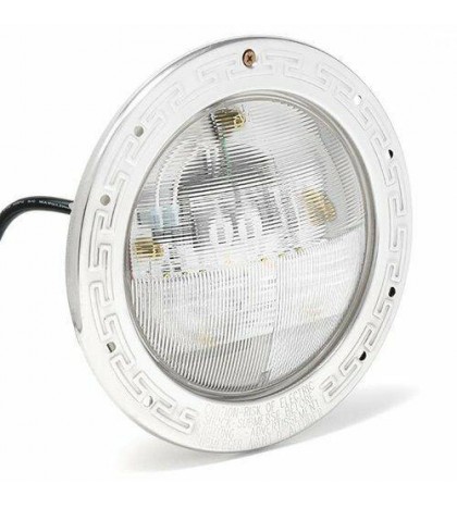 Pentair 601302 Intellibrite White Underwater Led Pool Light with 100' Cord