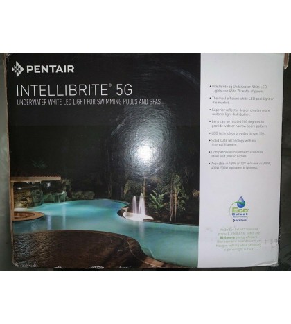 Pentair 601302 Intellibrite White Underwater Led Pool Light with 100' Cord