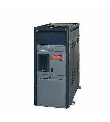 Raypak 014784 Pool and Spa Heater