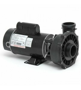 Waterway 3 Horsepower Two Speed Spa Pump with Unions 3421221-1A