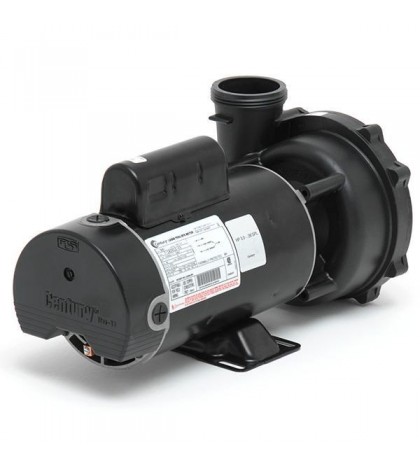 Waterway 3 Horsepower Two Speed Spa Pump with Unions 3421221-1A