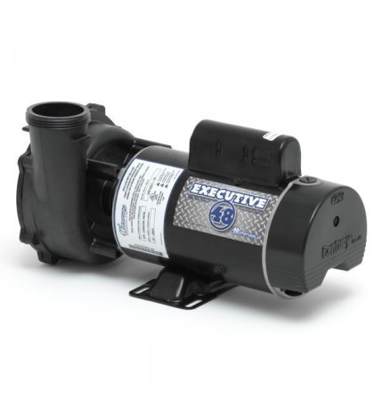 Waterway 3 Horsepower Two Speed Spa Pump with Unions 3421221-1A