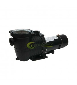 1HP 115V 2-Speed High-Flo INGROUND Swimming POOL PUMP Strainer Energy Saving