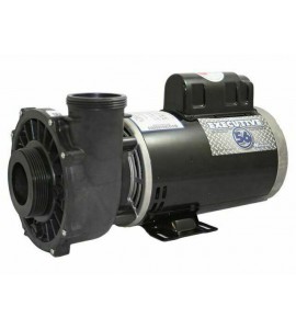 Waterway Executive 56 (3721621-13) 2-Speed Frame Pump