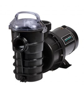 PENTAIR DYNAMO 2 HP  SPEED w/3' CORD (340219)