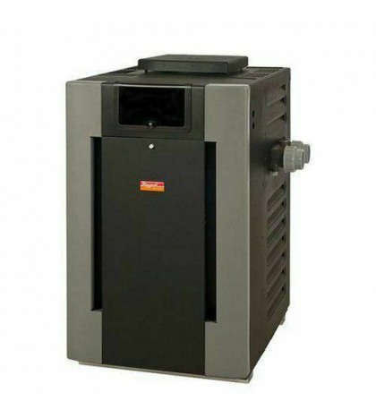 Raypak 009224 206000 BTU Propane Pool Heater