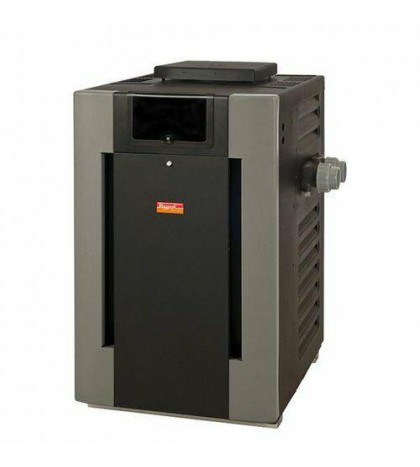 Raypak 009224 206000 BTU Propane Pool Heater