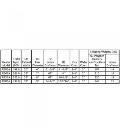 Raypak 009224 206000 BTU Propane Pool Heater