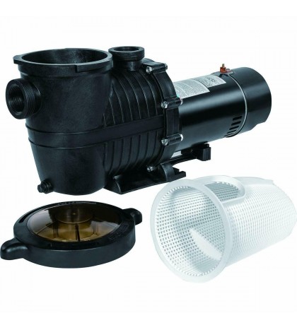 InGround 1 HP 115-230V Swimming Pool Pump - High Performance -  Speed